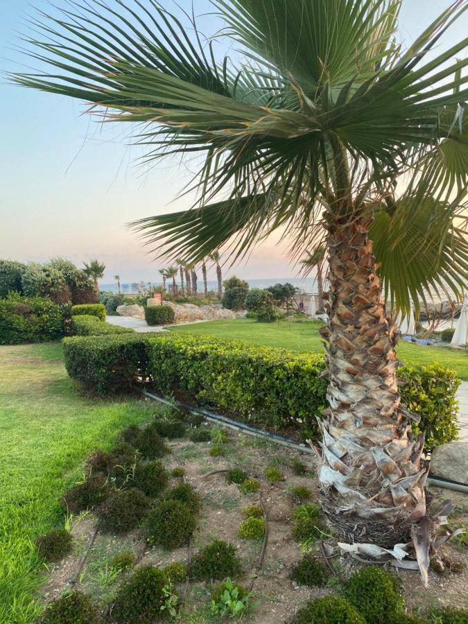 Royal Seacrest F G5 Ground Floor Apartment Paphos Exterior photo